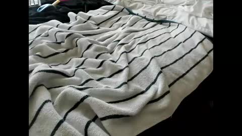 p guin12345 online show from April 24, 3:25 pm