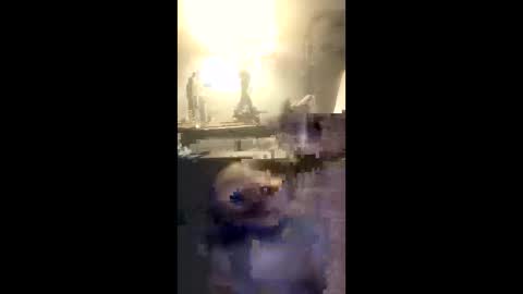 painter4488 online show from February 8, 12:30 pm