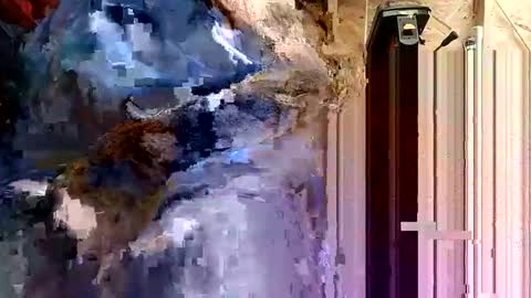 Snapshot of papajb70 chatting on September 10, 2:23 am papajb70 online show from September 10, 2:23 am