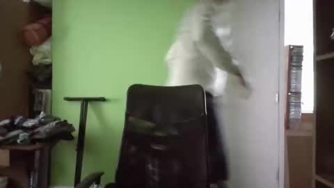 Papito online show from March 11, 5:24 pm