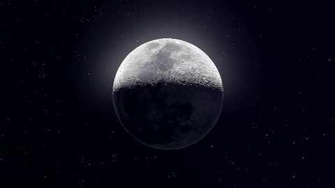 Paris online show from February 9, 10:34 pm