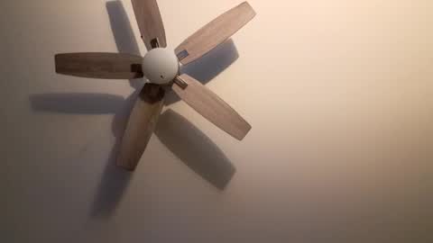 Snapshot of patrick247288 chatting on September 20, 4:15 am patrick247288 online show from September 20, 4:15 am