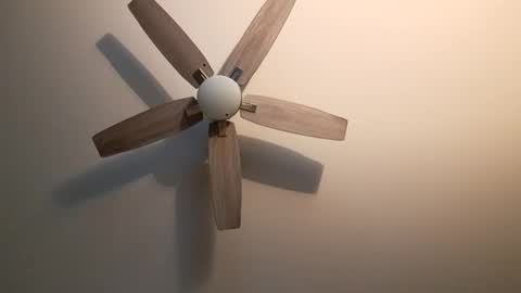 Snapshot of patrick247288 chatting on September 25, 5:03 am patrick247288 online show from September 25, 5:03 am