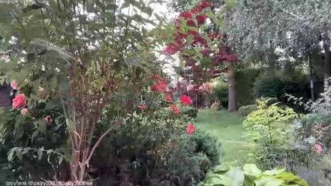 Andreea online show from June 4, 5:57 am