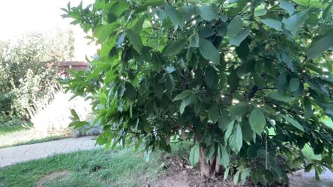 Andreea online show from September 15, 5:53 am