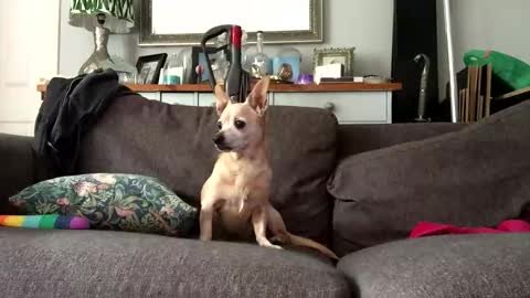 paulyb445 online show from October 2, 2:27 pm