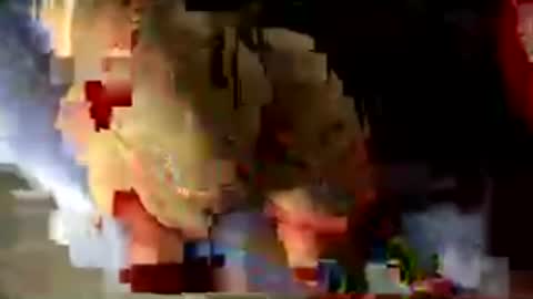 pawgboomboom online show from July 29, 4:01 am
