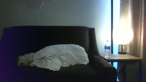 paybarbi online show from April 10, 6:23 pm