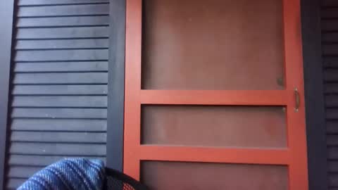 pecos8686 online show from November 2, 3:56 pm