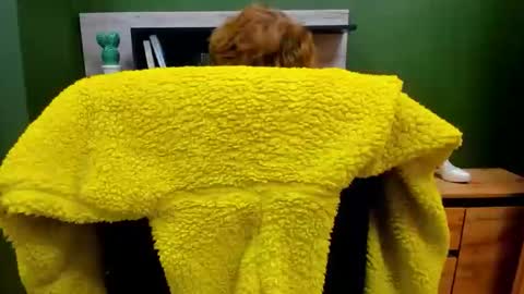 Penny online show from September 23, 6:29 am