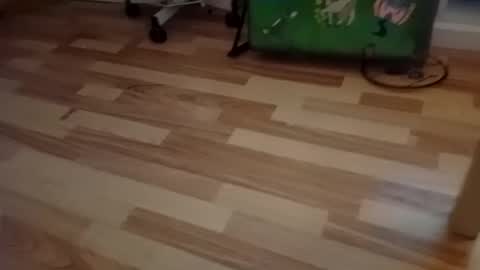 pepe_hard online show from March 2, 6:58 am