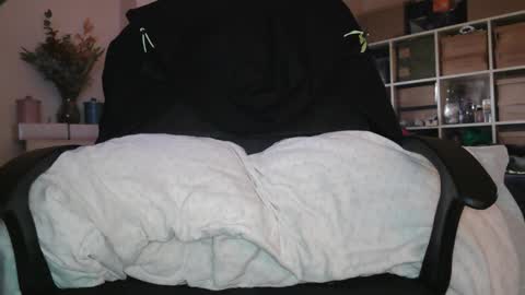 peregrintpelfox online show from January 14, 9:06 am