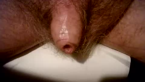 peterpeteropoulos online show from February 20, 7:41 pm