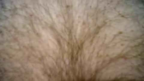 peterpeteropoulos online show from February 27, 7:37 pm