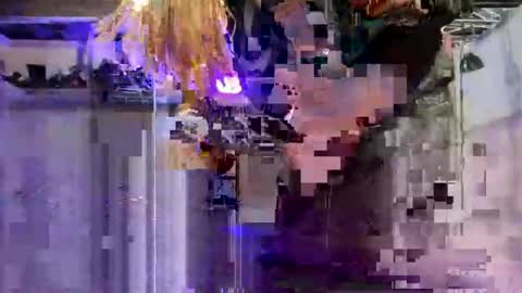 9072523824 online show from January 9, 9:15 am