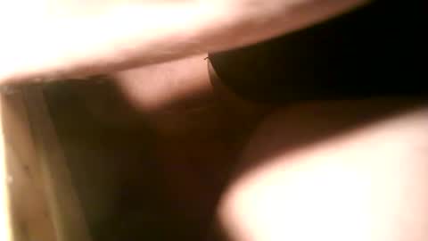 Djinn online show from January 14, 7:00 pm