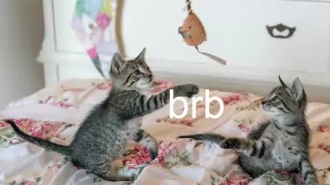 Kitty online show from July 20, 7:04 pm