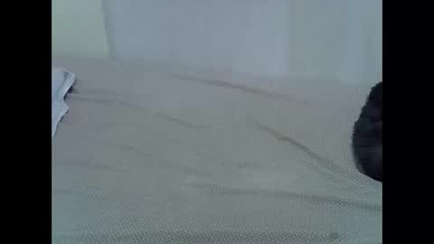 Kim20 online show from November 9, 6:43 pm