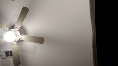 pinkpulseglobal online show from November 4, 4:58 am