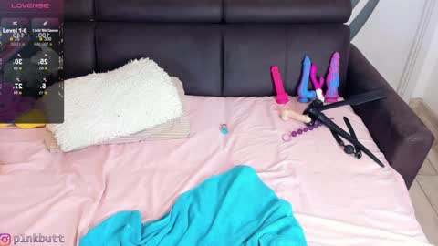 Snapshot of pinkslobber chatting on January 16, 2:51 am Helen Goat online show from January 16, 2:51 am