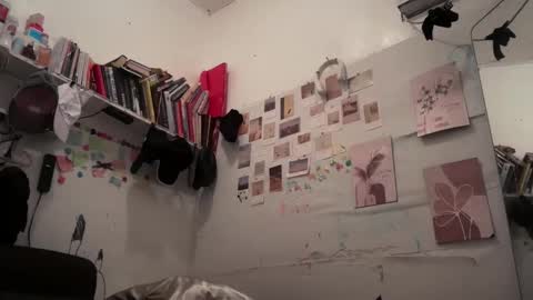 Rose online show from February 4, 11:19 pm