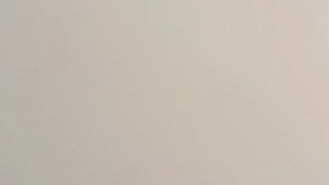 PeggedBiGuy online show from March 7, 9:15 pm