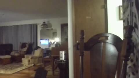 playerpleasure online show from November 26, 2:53 am