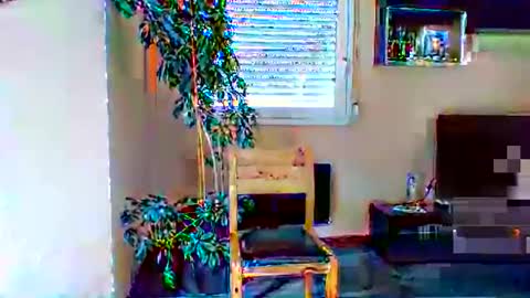 pluchet online show from May 4, 4:46 pm