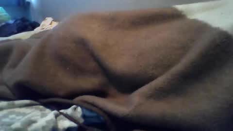 Snapshot of polishbigdick17 chatting on October 29, 5:53 am polishbigdick17 online show from October 29, 5:53 am