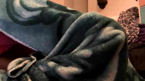 porkchopak online show from November 17, 11:46 am