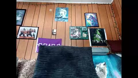 prettysolid7 online show from February 4, 3:49 pm