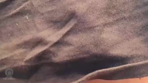 pulepower online show from March 27, 3:02 pm