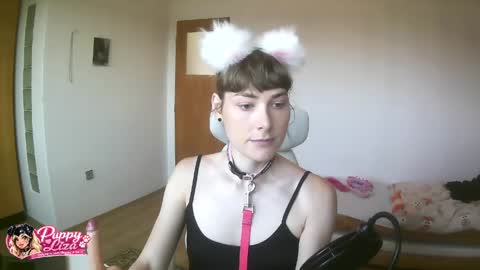 puppy_liza online show from June 2, 7:21 am