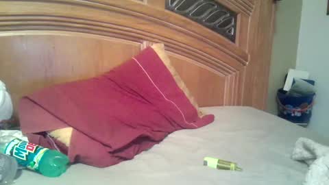 Snapshot of raidersman757 chatting on November 2, 10:37 am hitman online show from November 2, 10:37 am