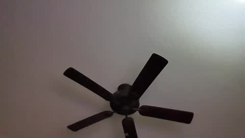 ravenhawk7 online show from September 11, 2:57 am