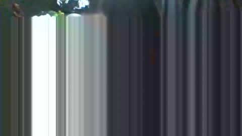 ravens18816981 online show from January 8, 10:04 pm