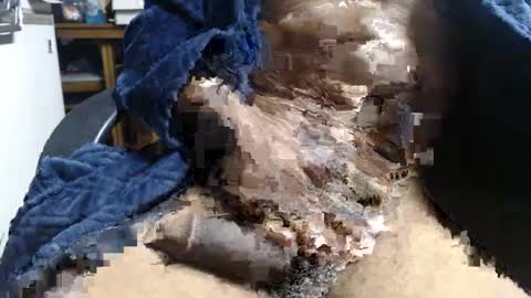 Ray online show from January 3, 12:29 pm