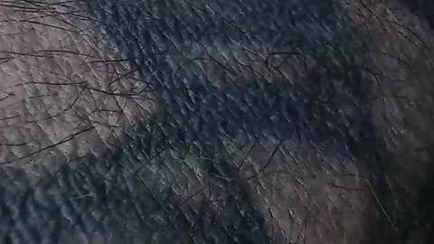 realrubpirate online show from March 18, 8:42 am