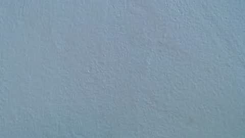 Rose  Dariah online show from July 20, 2:08 pm