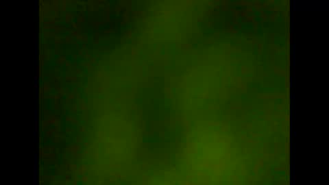 Snapshot of rianfox1234 chatting on October 22, 7:33 am rianfox1234 online show from October 22, 7:33 am