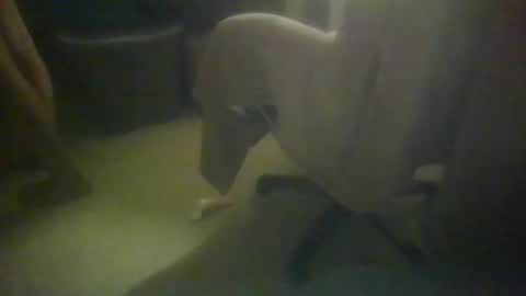 richardspit online show from February 23, 5:53 am