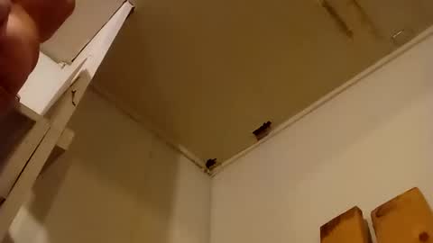 Tom online show from October 14, 10:18 am