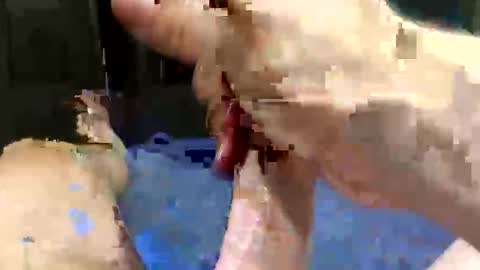 rockinhardd4u online show from September 13, 3:31 am