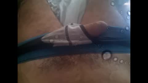 rollino83 online show from September 18, 7:45 am