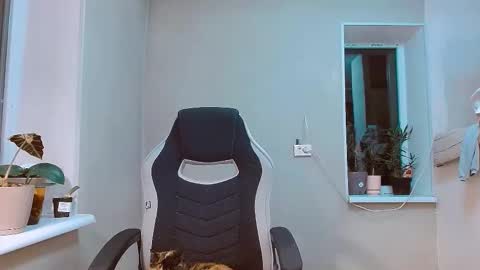 rosa843850 online show from November 9, 5:48 pm