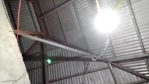 rose_marie2025 online show from December 21, 8:59 pm