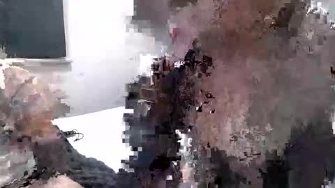 roynmandz online show from April 18, 5:15 pm