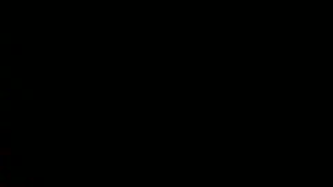 Roy Murrin online show from December 8, 1:58 pm