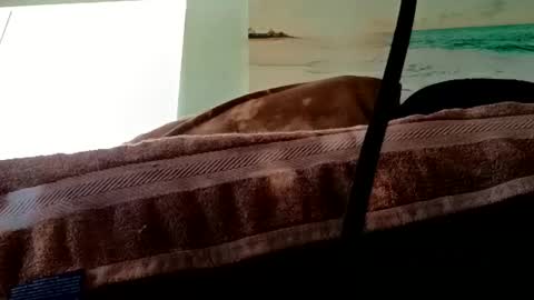 rthammy72 online show from September 26, 6:27 pm