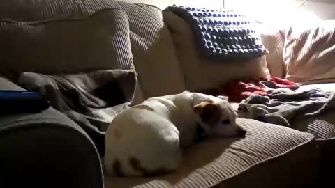 Rusty online show from September 27, 2:42 am